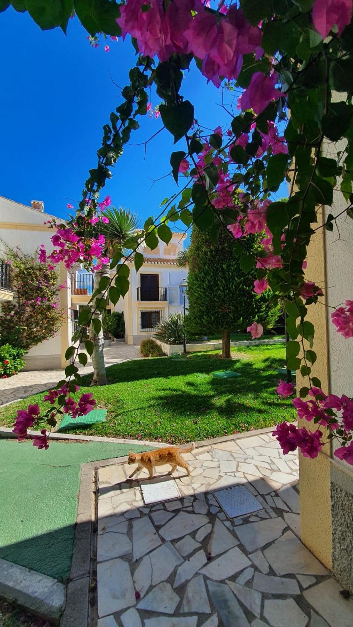 Casa Veratense Vera Playa Playas de Vera Extérieur photo